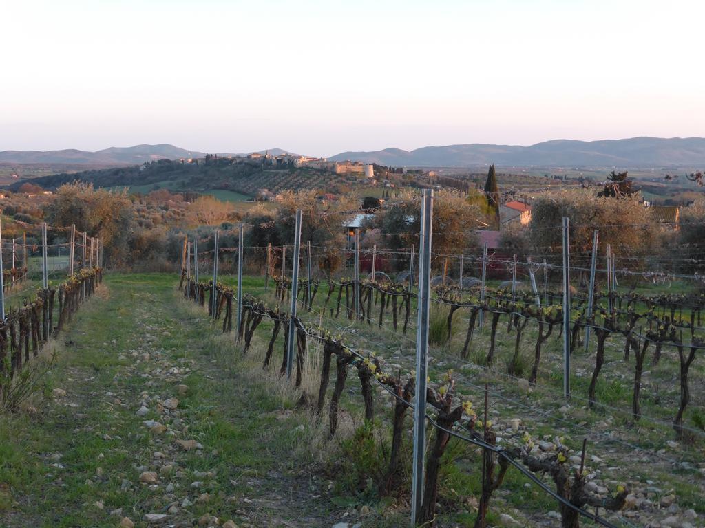 Campospillo Villa Magliano in Toscana Ngoại thất bức ảnh