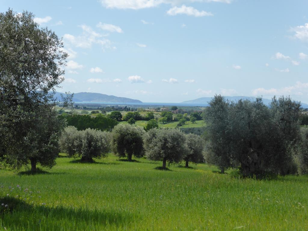 Campospillo Villa Magliano in Toscana Ngoại thất bức ảnh