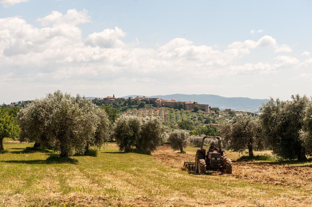 Campospillo Villa Magliano in Toscana Ngoại thất bức ảnh